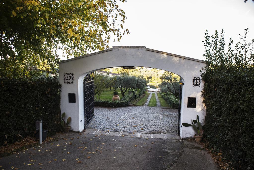 Il Pettirosso B&B Grottaferrata Bagian luar foto