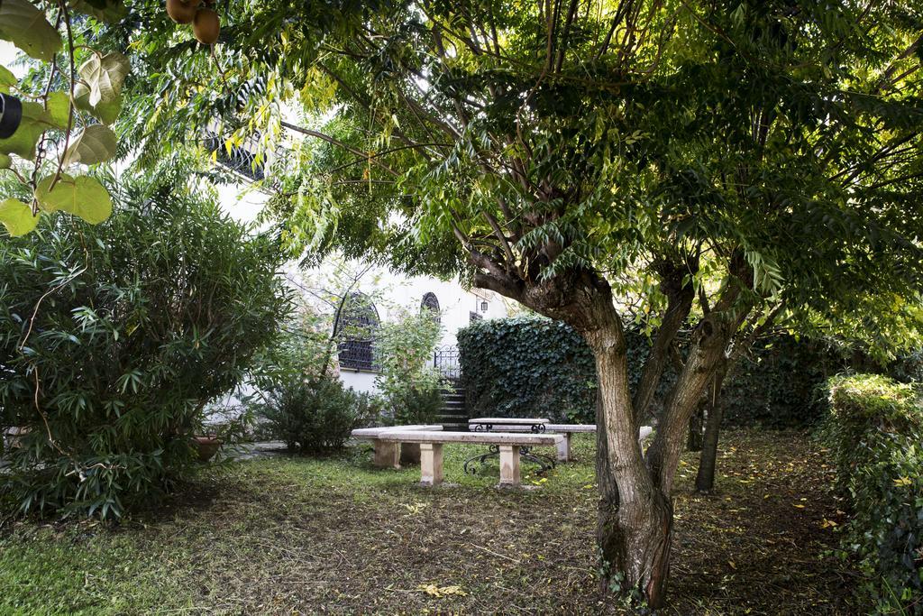 Il Pettirosso B&B Grottaferrata Bagian luar foto