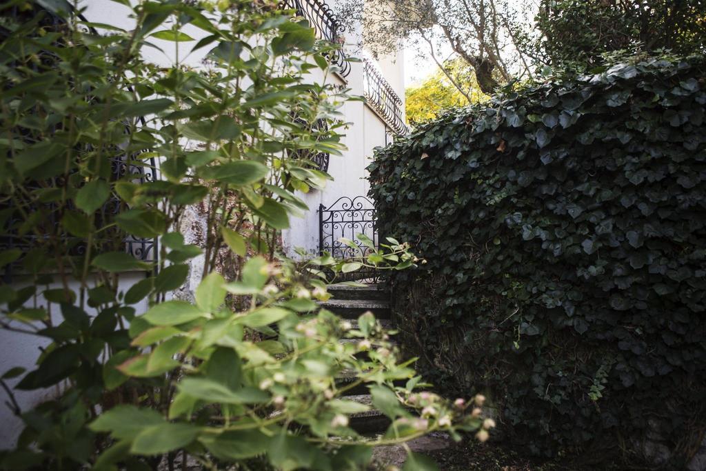Il Pettirosso B&B Grottaferrata Bagian luar foto
