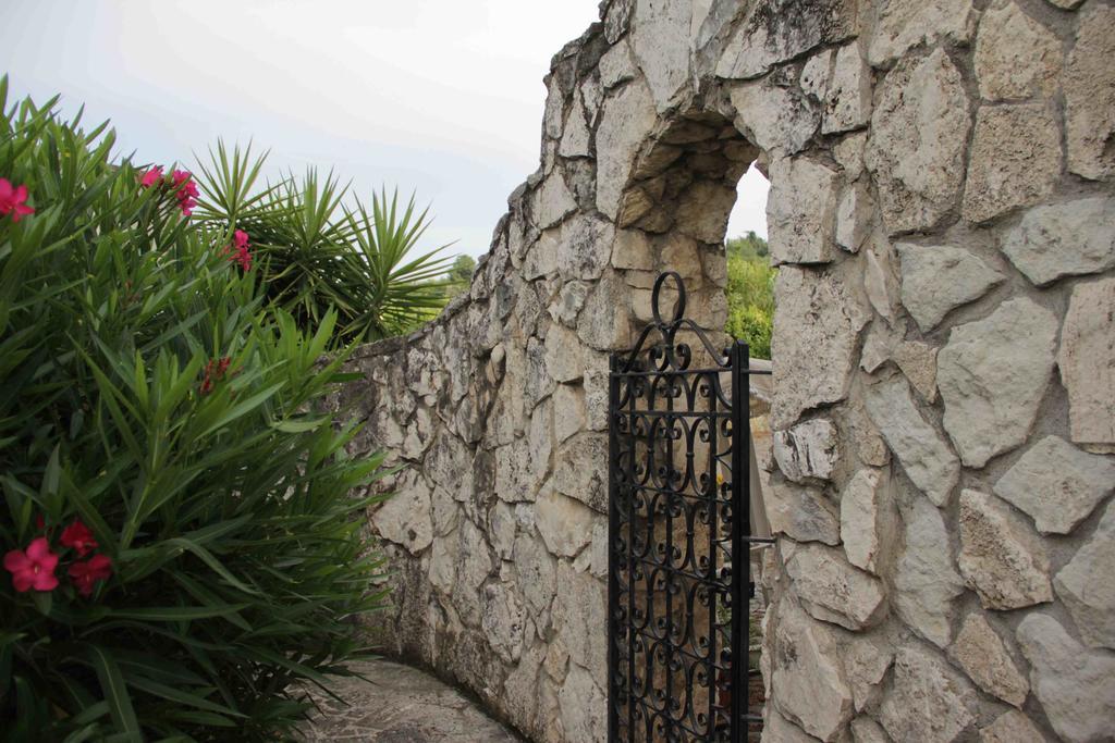 Il Pettirosso B&B Grottaferrata Bagian luar foto