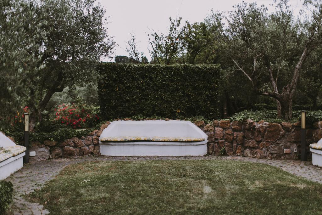 Il Pettirosso B&B Grottaferrata Bagian luar foto