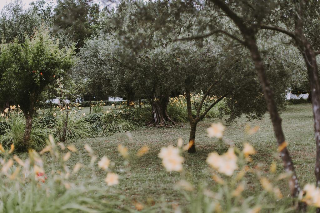 Il Pettirosso B&B Grottaferrata Bagian luar foto