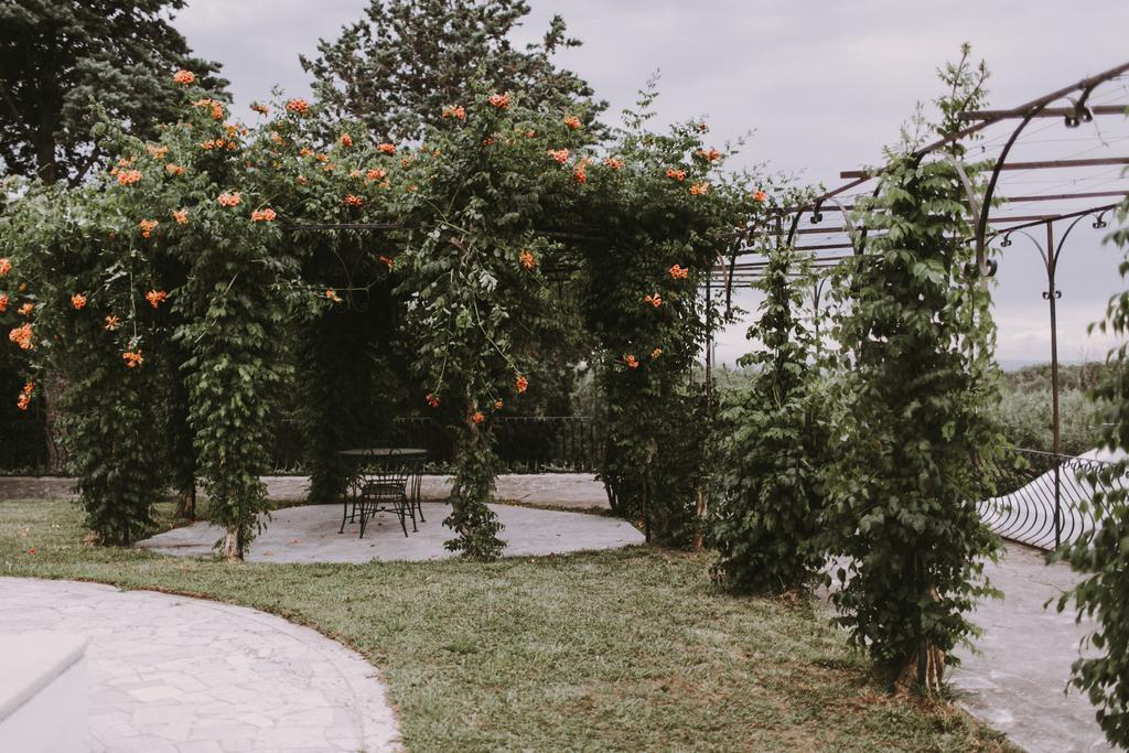 Il Pettirosso B&B Grottaferrata Bagian luar foto