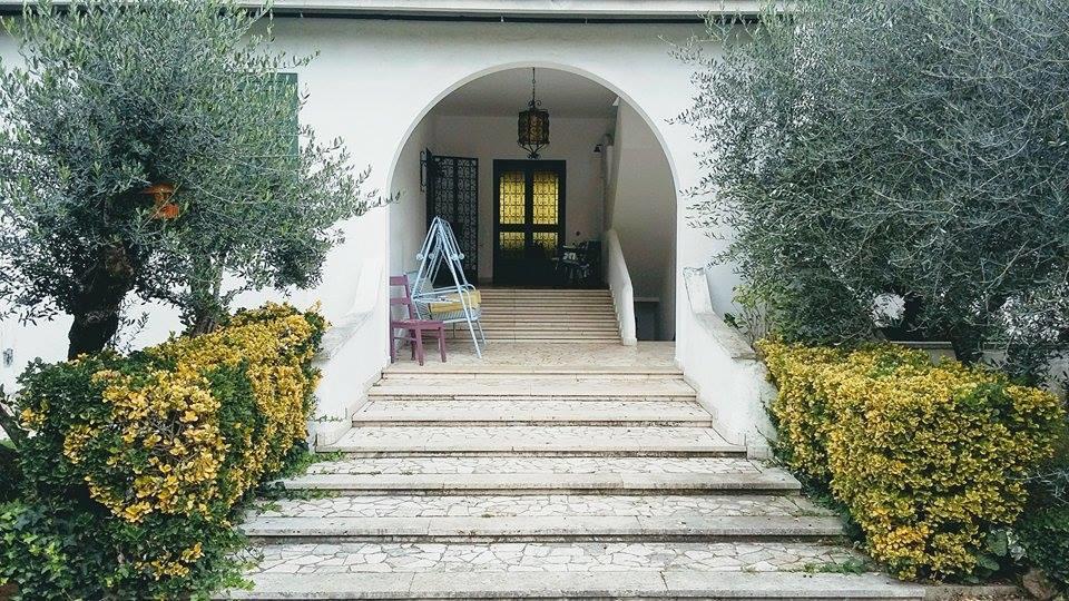 Il Pettirosso B&B Grottaferrata Bagian luar foto