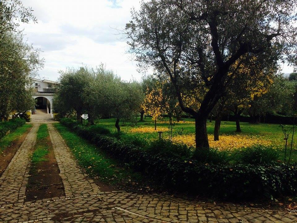 Il Pettirosso B&B Grottaferrata Bagian luar foto