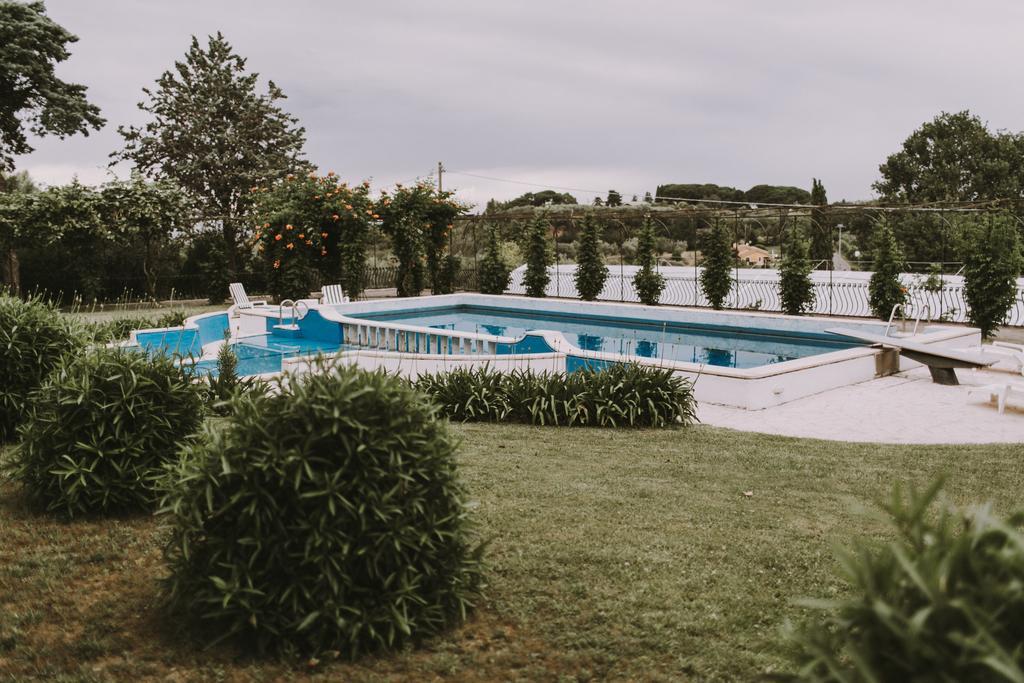 Il Pettirosso B&B Grottaferrata Bagian luar foto