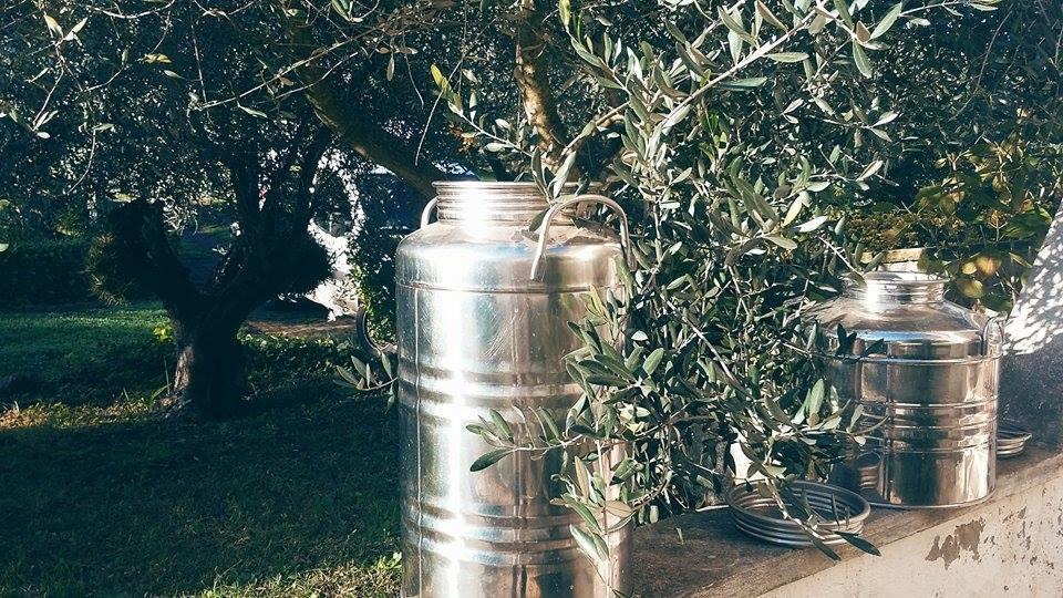 Il Pettirosso B&B Grottaferrata Bagian luar foto