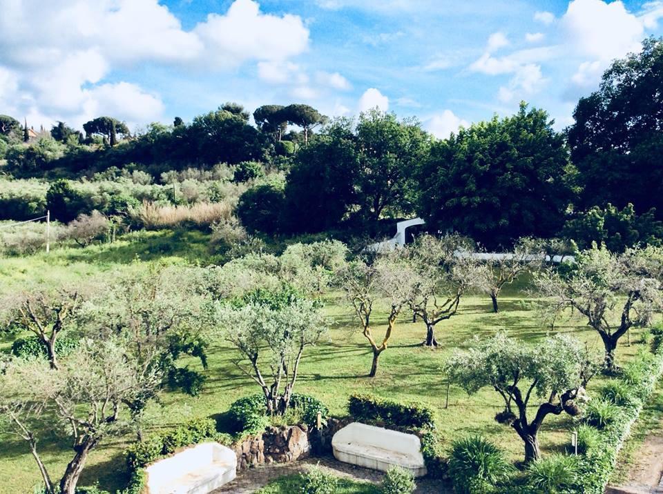 Il Pettirosso B&B Grottaferrata Bagian luar foto